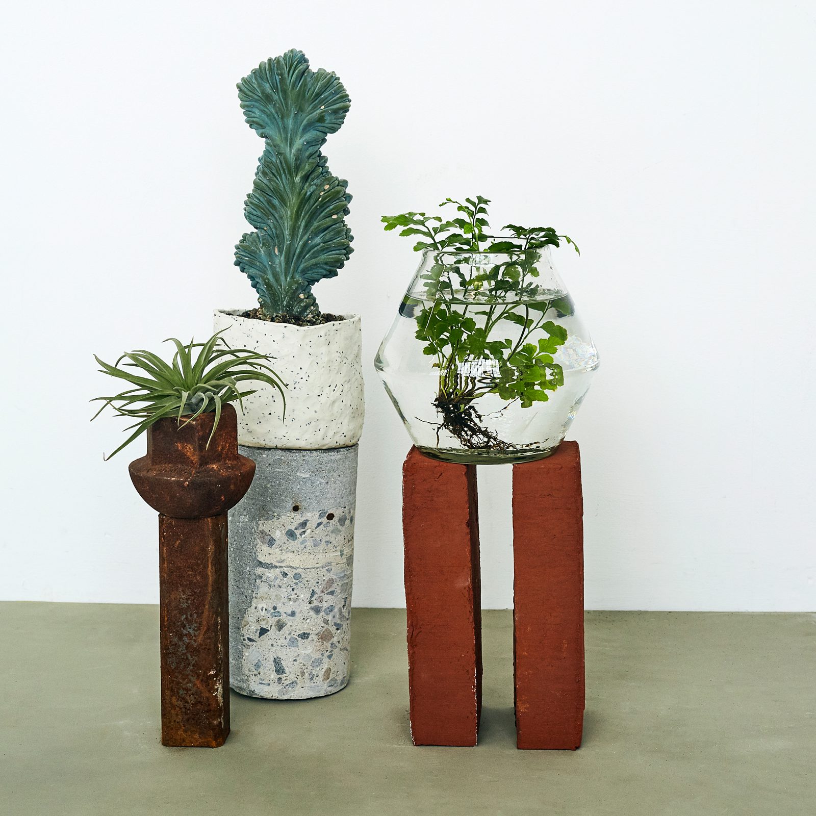 Plant København billede